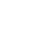 Icône instagram qualys-institut